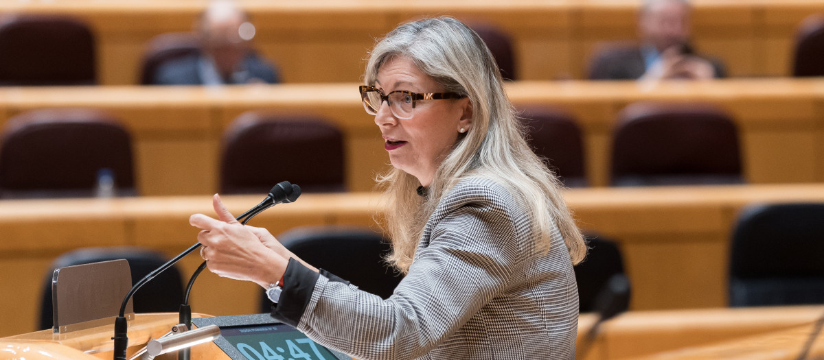 Imagen de archivo de Amparo Marco durante una intervención en el Senado.