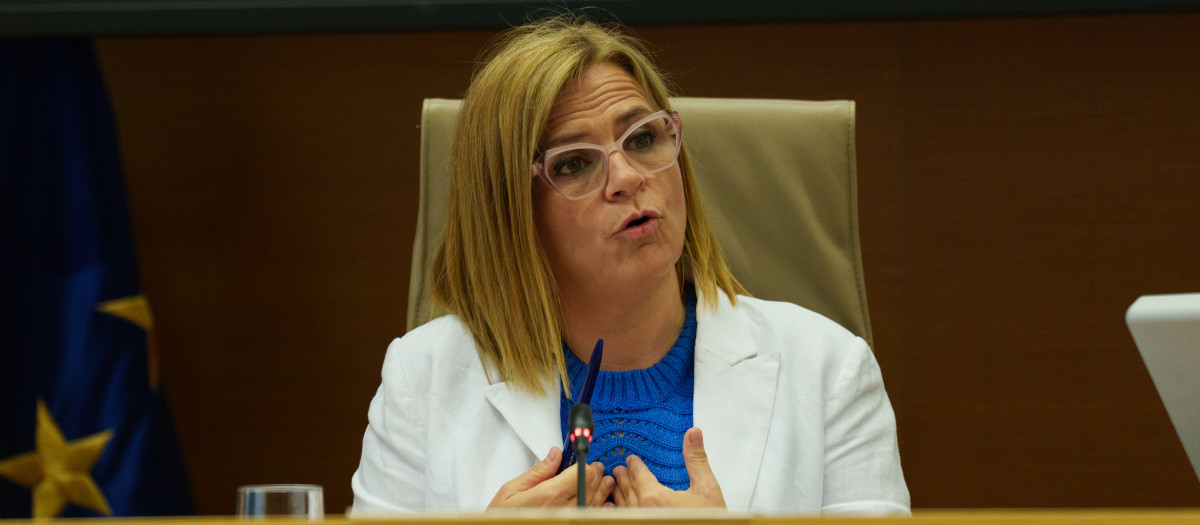 Imagen de la delegada del Gobierno en la Comunidad Valenciana, Pilar Bernabé