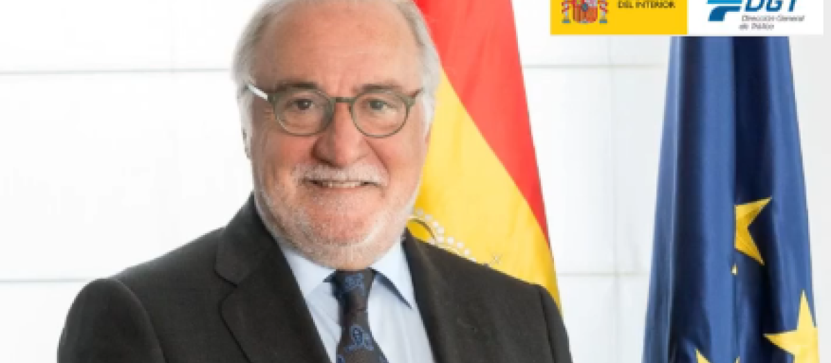 El director general de la DGT pide a los peatones que pongan en su sitio a los patinetes