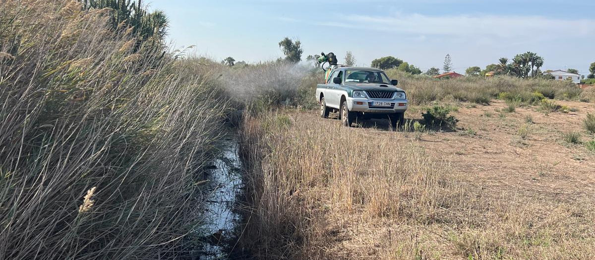 Imagen de los refuerzos del plan antimosquitos en los humedales de Castellón