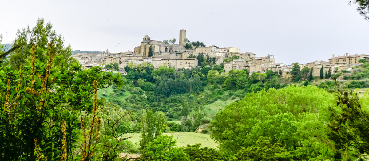 Pueblo de Sos del Rey Católico, en la provincia de Zaragoza