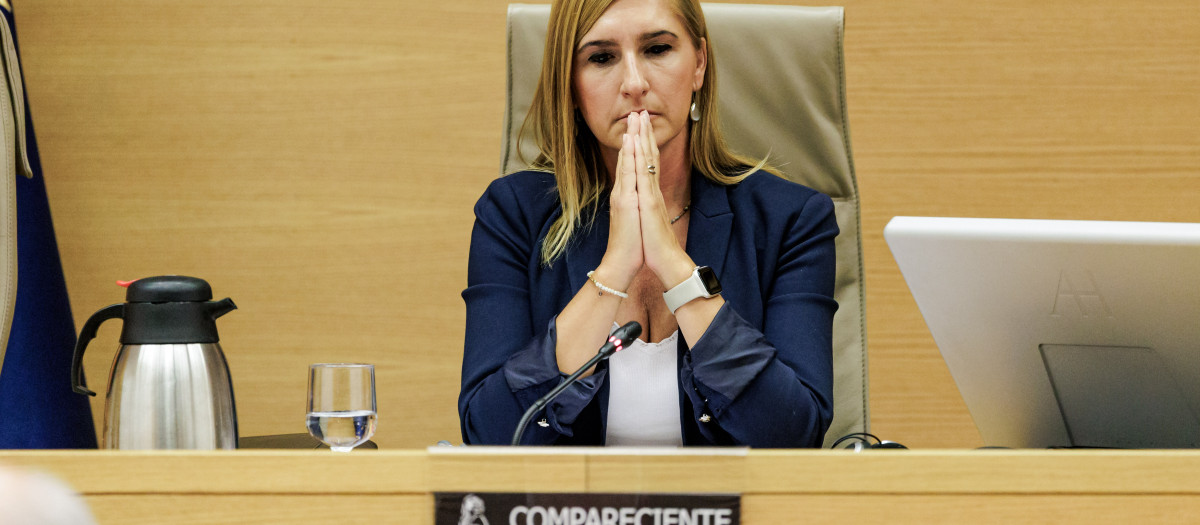 Imagen de Salomé Pradas tomada durante su comparecencia en el Congreso