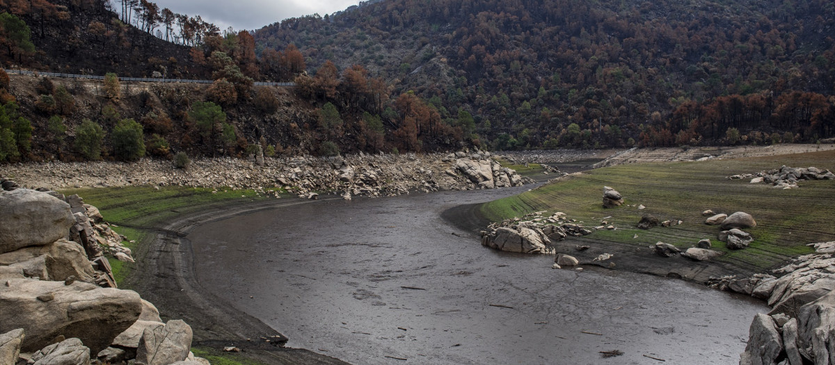 Las tormentas arrastran cenizas y restos del incendio de Burgohondo tiñendo el entorno al embalse de El Burguillo