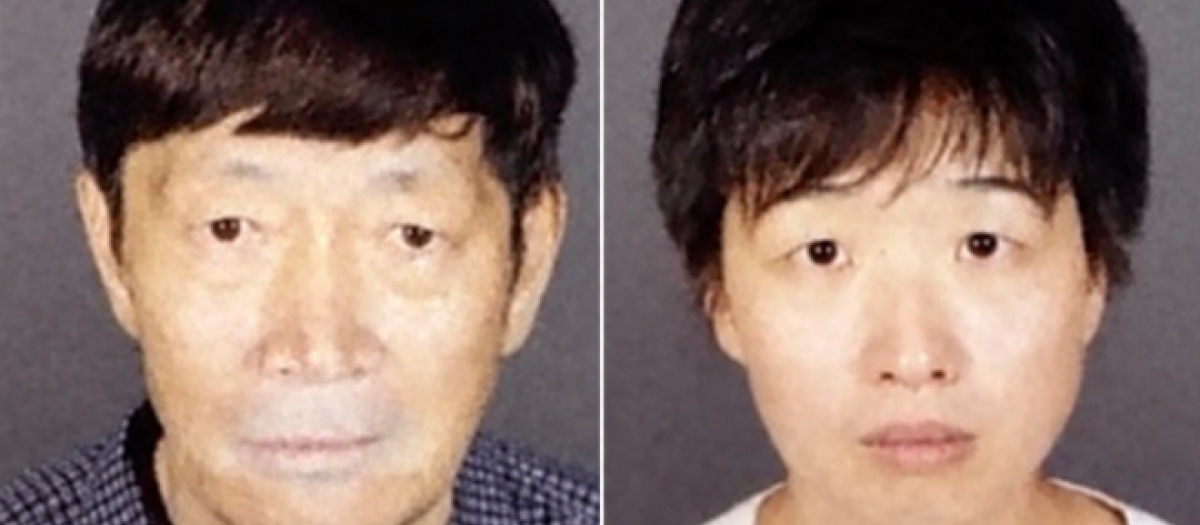 La pareja arrestada