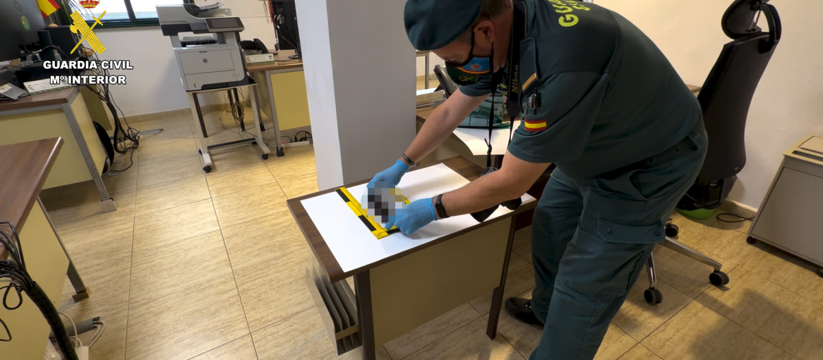 Un agente de la Guardia Civil con uno de los gatos fallecidos