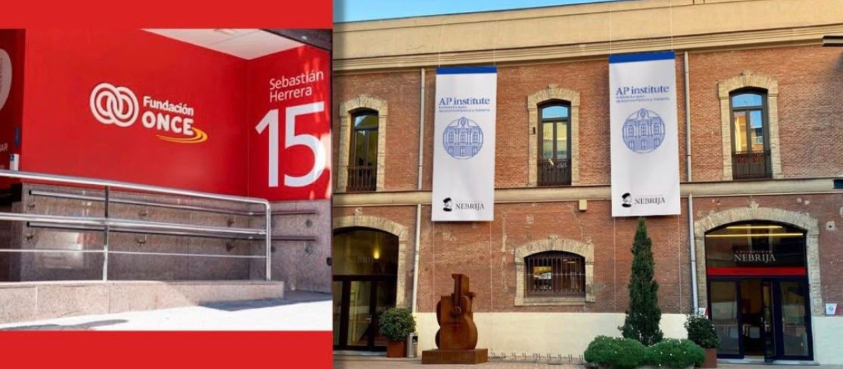 Fundación Once y AP Institute