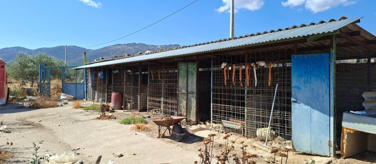Lugar donde se encontraba la rehala de perros