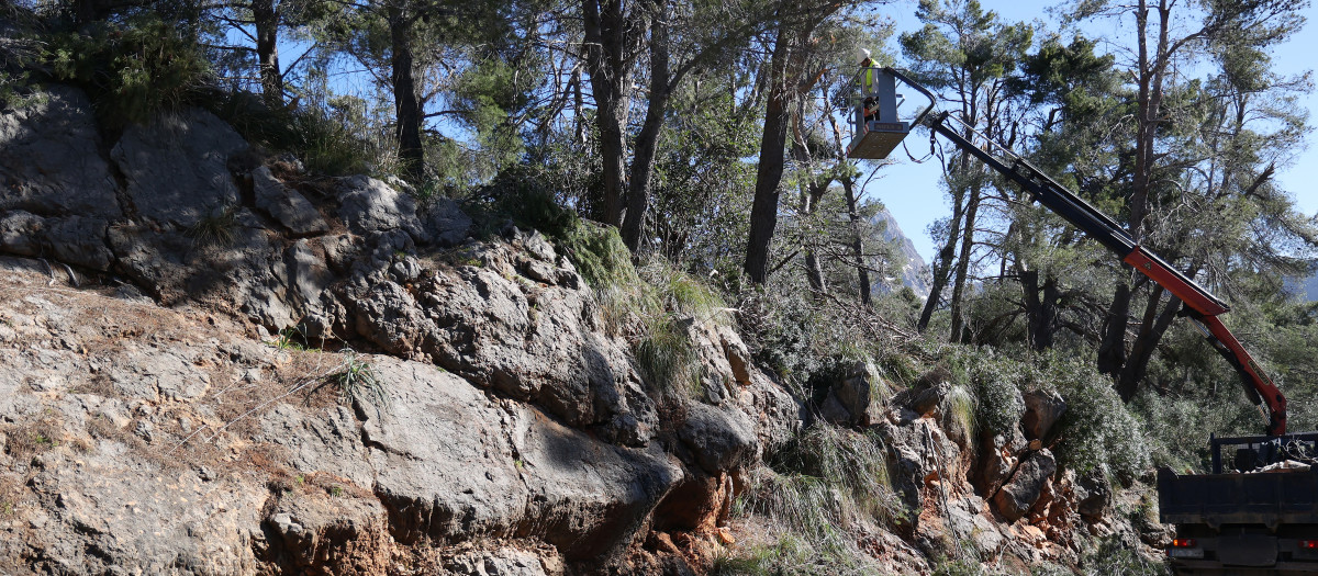 El siniestro se ha producido en un tramo de la Serra de Tramuntana

Isaac Buj / Europa Press
10 MARZO 2023;BORRASCA;LLUVIA;NIEVE;CARRETERAS;CORTADA;INTERRUPCIONES;ELECTRICIDAD;DESBORDAMIENTOS;SERRA DE TRAMUNTANA;NEVADAS
10/3/2023