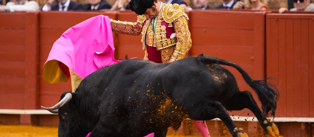 Imagen de Morante de la Puebla