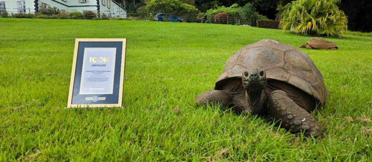 La tortuga Jonathan posa con su reconocimiento del Libro Guinness de los Récords