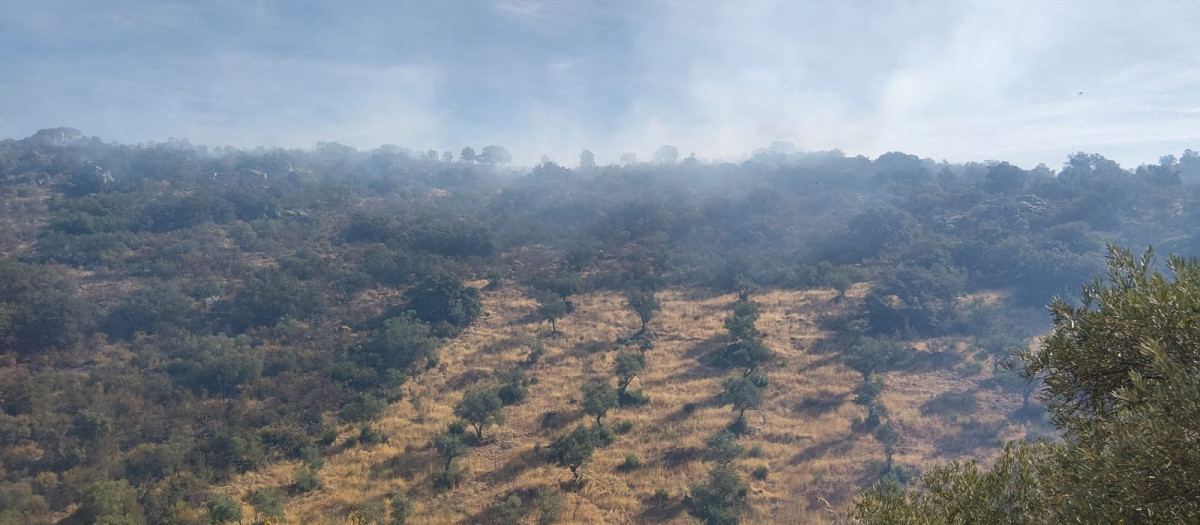 Paraje de El Hoyo, en Fuente Obejuna