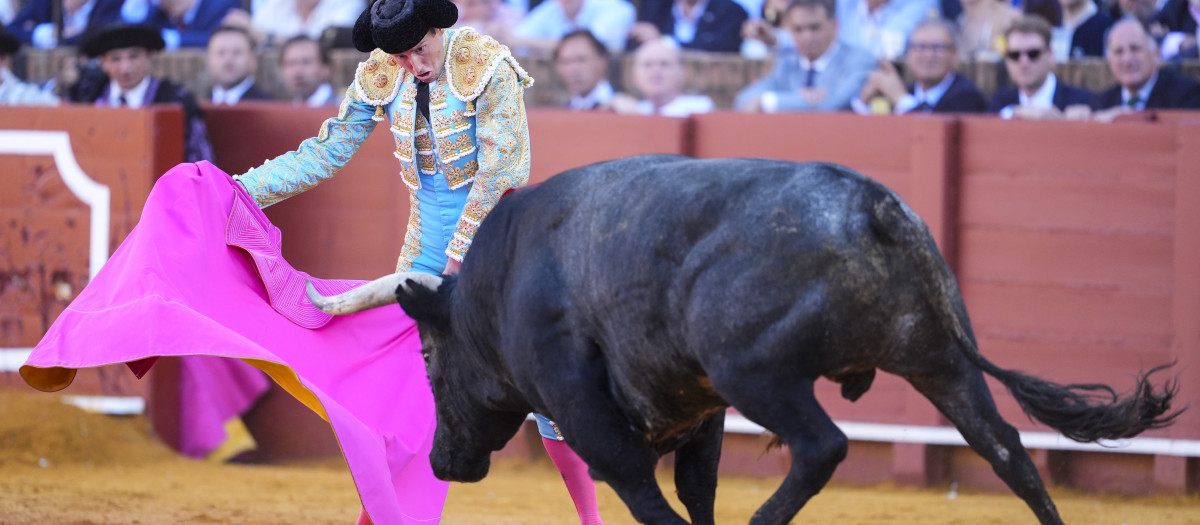 Imagen de Roman en plena faena
