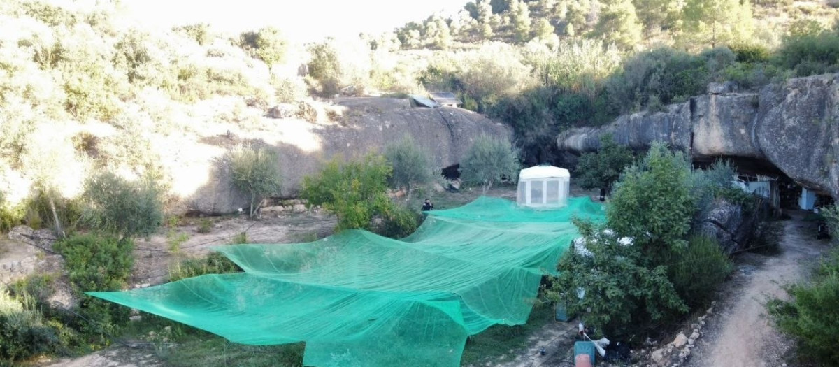 El cultivo de marihuana localizado en Bovera (Lérida)

REMITIDA / HANDOUT por MOSSOS D'ESQUADRA
Fotografía remitida a medios de comunicación exclusivamente para ilustrar la noticia a la que hace referencia la imagen, y citando la procedencia de la imagen en la firma
13/10/2026
