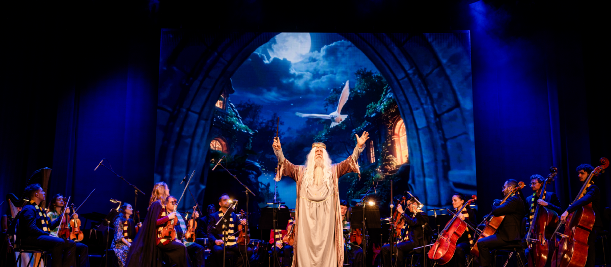 Imagen del concierto Harry Sinfónico