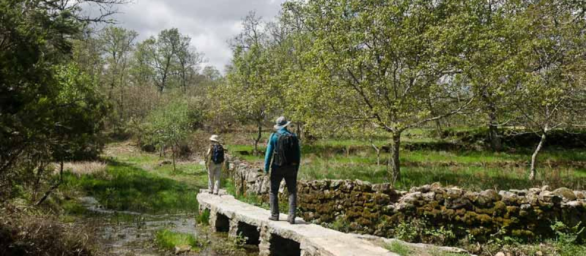 Camino de las Raíces, ruta circular desde la localidad salmantina de La Alberca