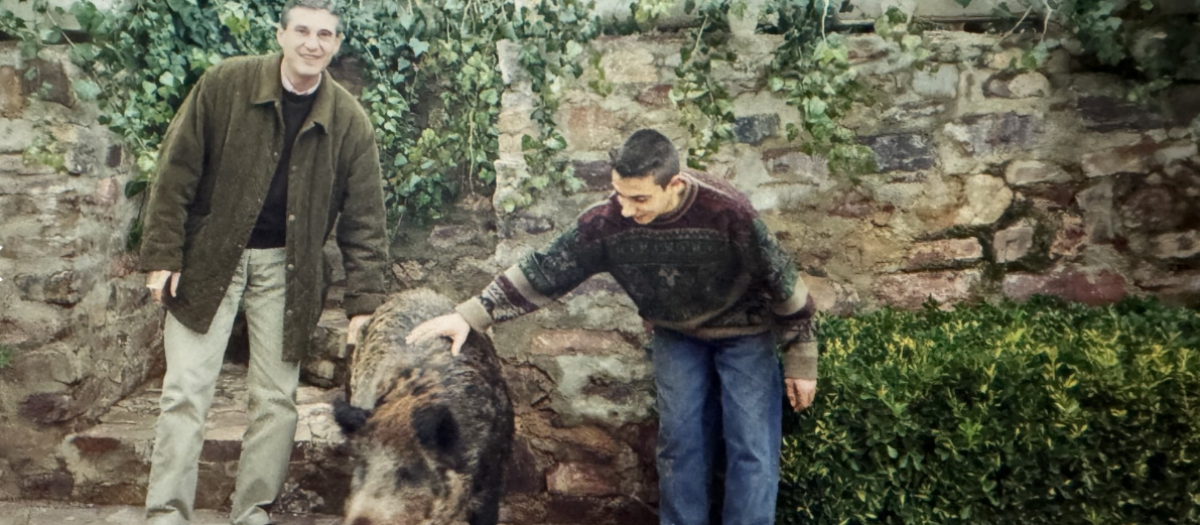 Jabalí domesticado