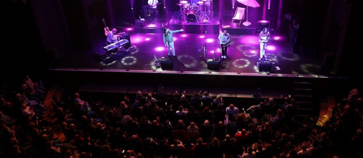 Imagen de un concierto en el Roig Arena