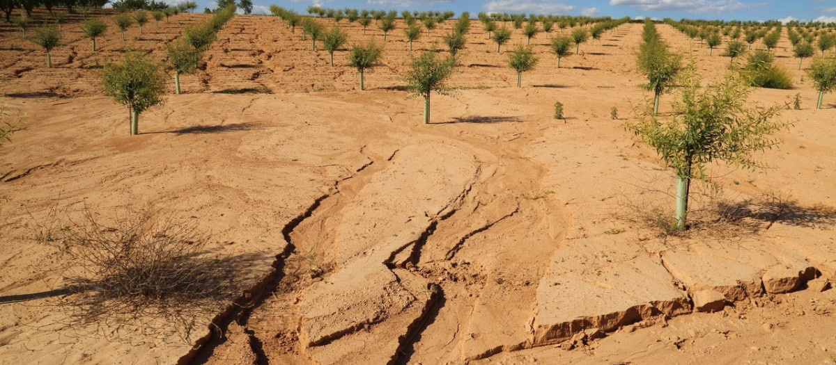 Campos de cultivo del área mediterránea con suelo afectado por la erosión