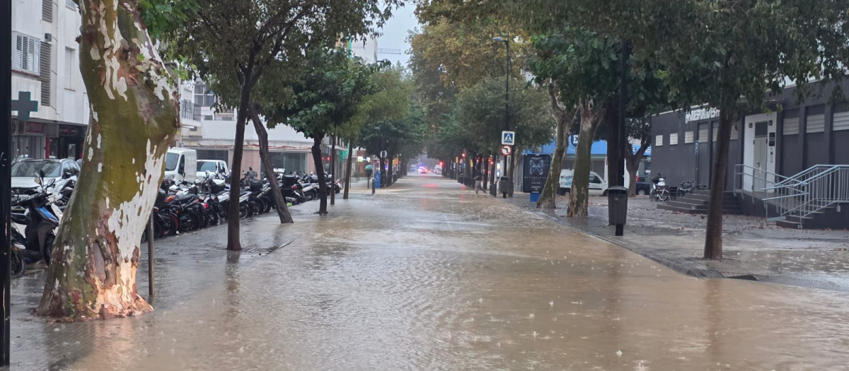 La céntrica avenida de Ignasi Wallis, en Ibiza, momentos antes de inundarse totalmente este domingo.