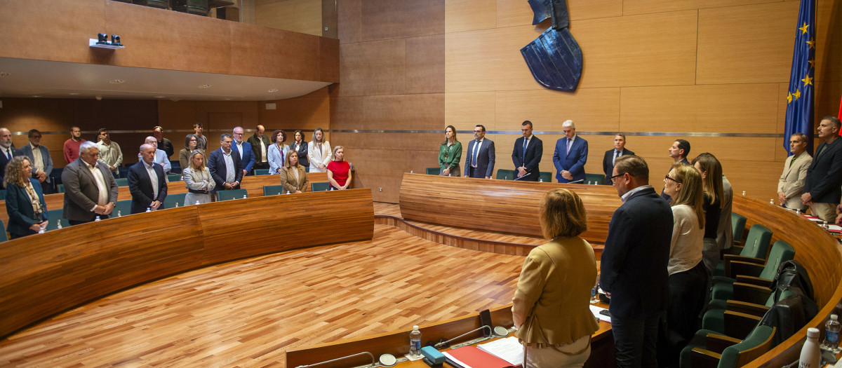 Imagen del pleno de la Diputación de Valencia donde se han aprobado las ayudas