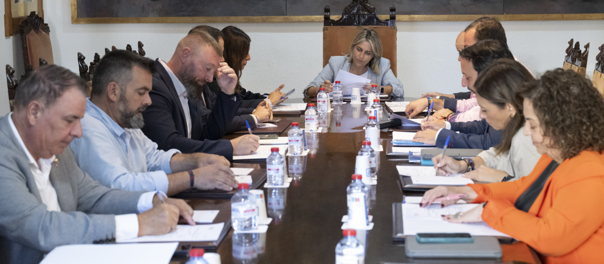 Imagen de la Junta de Gobierno de la Diputación de Castellón