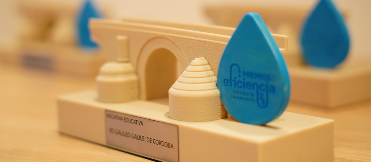 Premio a la Eficiencia Hídrica y de Saneamiento de la Cátedra Emacsa