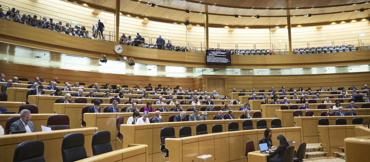 El hemiciclo del Senado vota durante una sesión plenaria, en el Senado