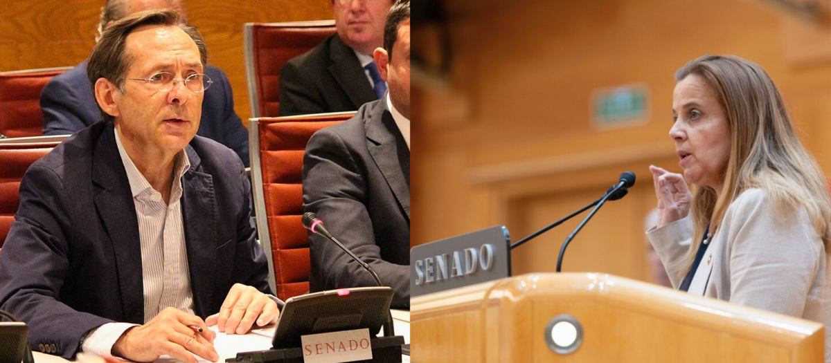 Gonzalo Robles y Esther del Brío dejan su puesto en el Senado