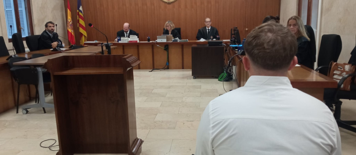 Condenado por violar a una mujer ebria y drogada en un hotel de Magaluf

EUROPA PRESS
22/10/2026
