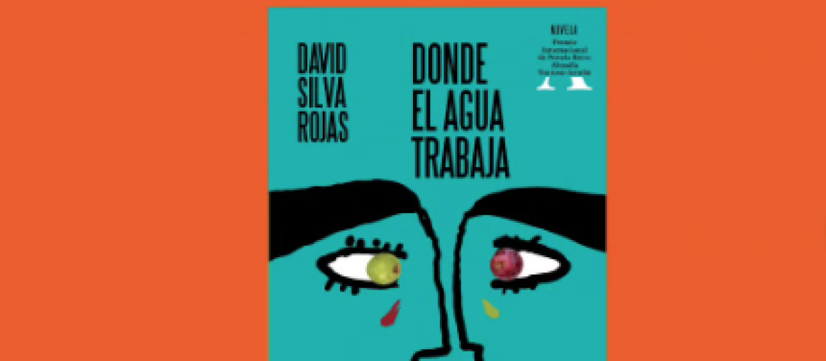 Imagen promocional de la novela Donde el agua trabaja del peruano David Silva Rojas