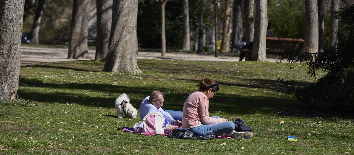 (Foto de ARCHIVO)
Una pareja y su perro sentados en el césped aprovechando las altas temperaturas, en el Parque del Retiro
