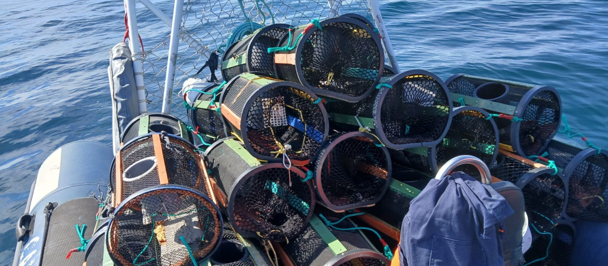 Decomisan siete kilos de pulpo y 68 nasas en una nueva actuación contra el furtivismo en Galicia

REMITIDA / HANDOUT por GARDACOSTAS DE GALICIA
Fotografía remitida a medios de comunicación exclusivamente para ilustrar la noticia a la que hace referencia la imagen, y citando la procedencia de la imagen en la firma
13/6/2026