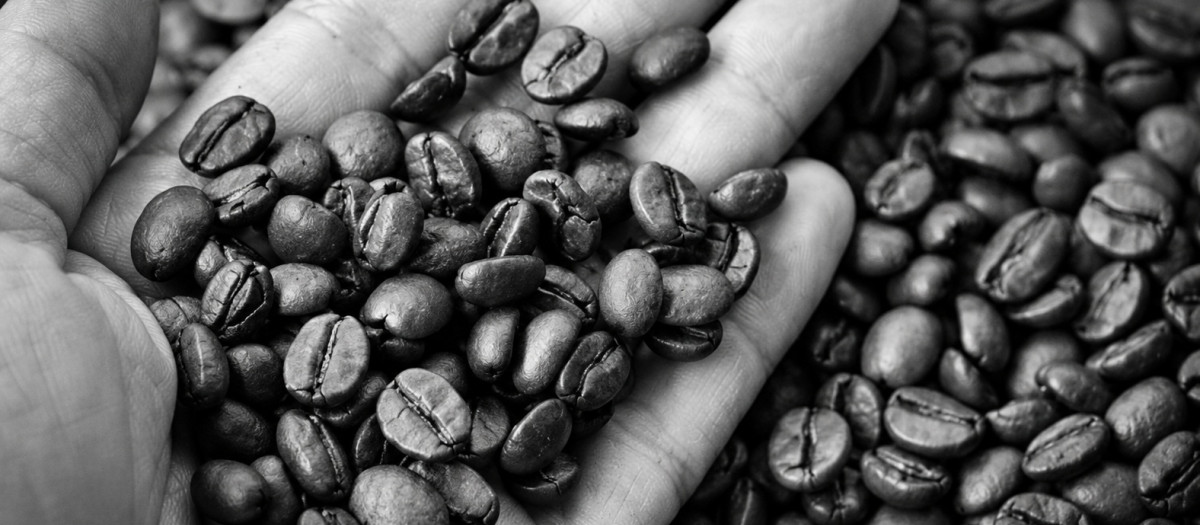 Granos de café