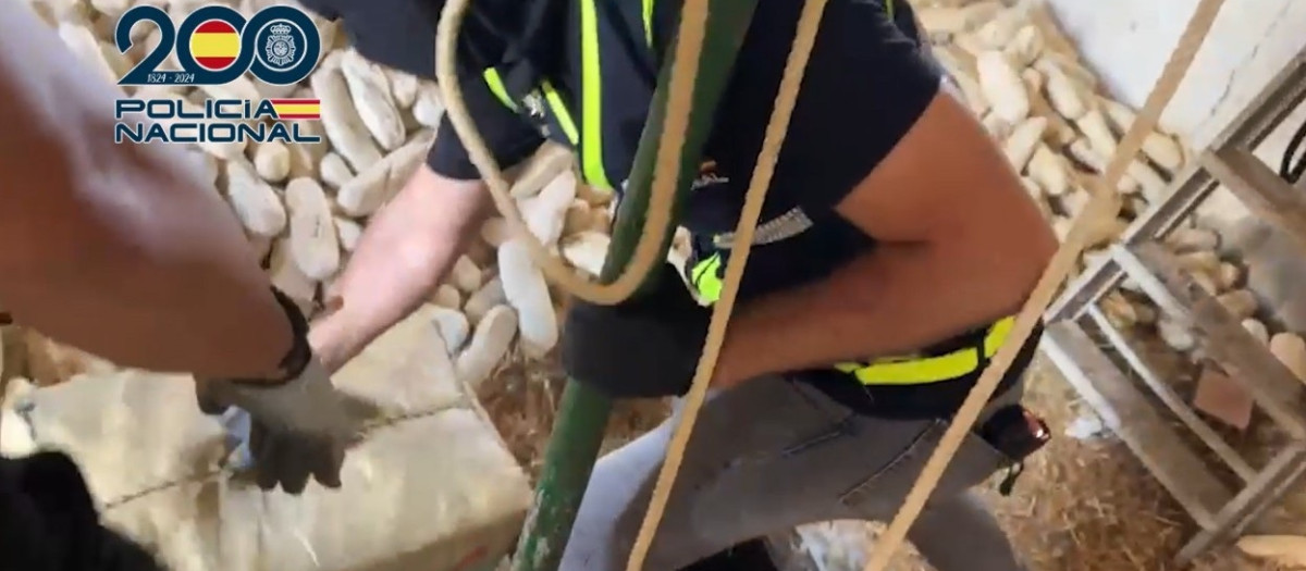 Momento de la intervención de la droga en una finca de Ayamonte.

REMITIDA / HANDOUT por POLICÍA NACIONAL
Fotografía remitida a medios de comunicación exclusivamente para ilustrar la noticia a la que hace referencia la imagen, y citando la procedencia de la imagen en la firma
26/10/2026