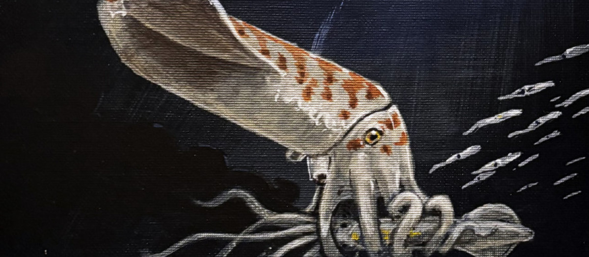 Ilustración del calamar Wyoteuthis linsterorum