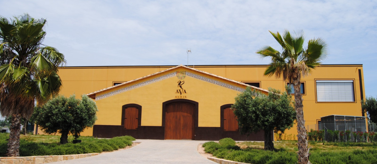 Imagen de archivo de Sinyent