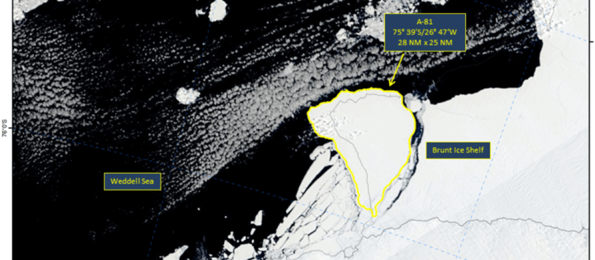 El iceberg A-81