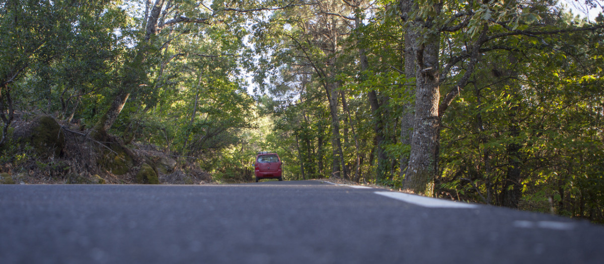 Carretera por un hermoso bosque de Sierra de Gata
