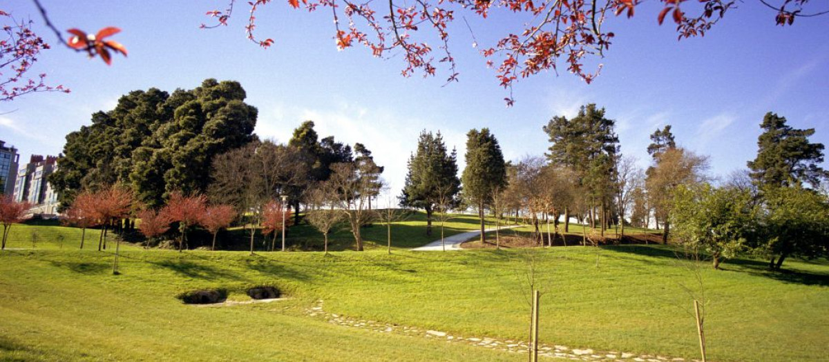 Preocupación en Santiago por los extraños hallazgos en uno de sus parques: velas, plumas y restos de animales