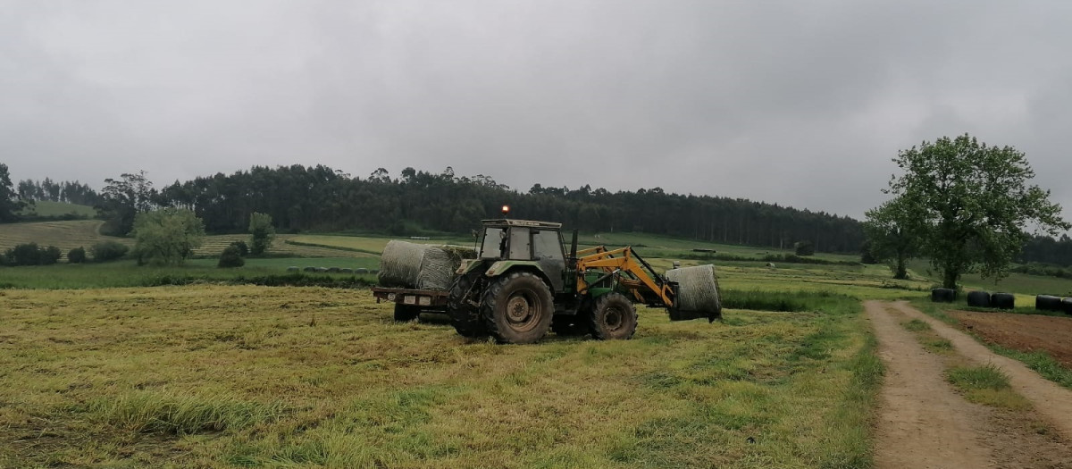 Trabajos con tractor en el campo