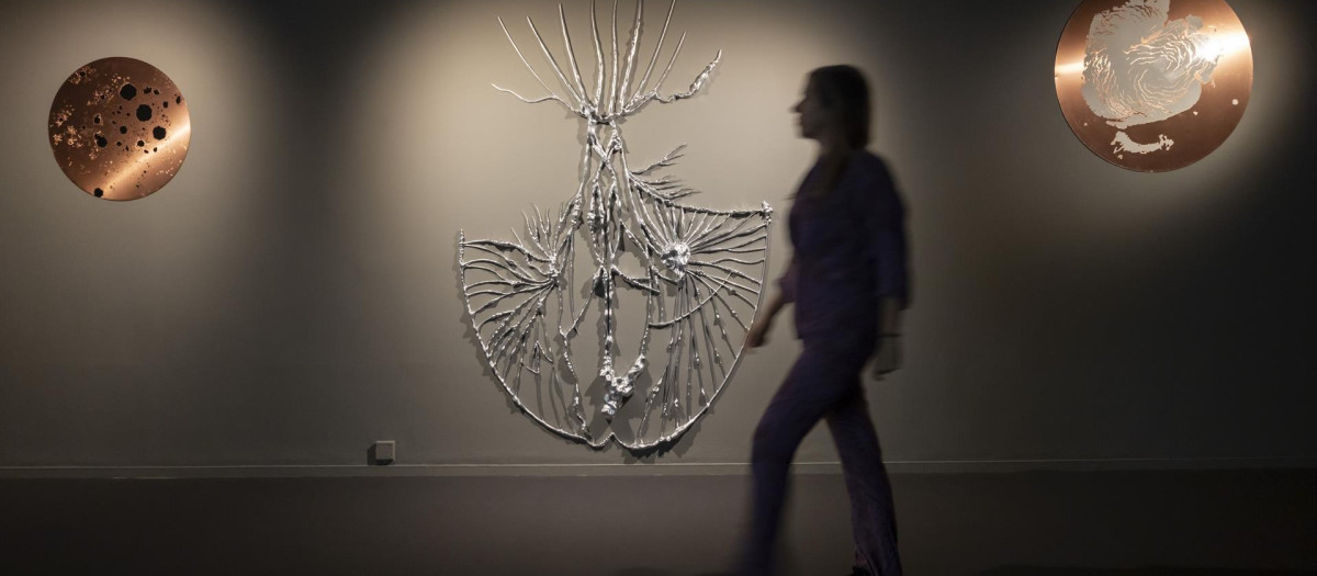 Imagen de la muestra de arte, ciencia y ficción de Regina de Miguel