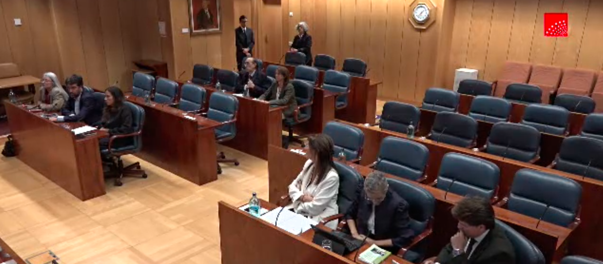 Sesión constitutiva de la comisión de estudio de la ley de nietos en la Asamblea de Madrid
