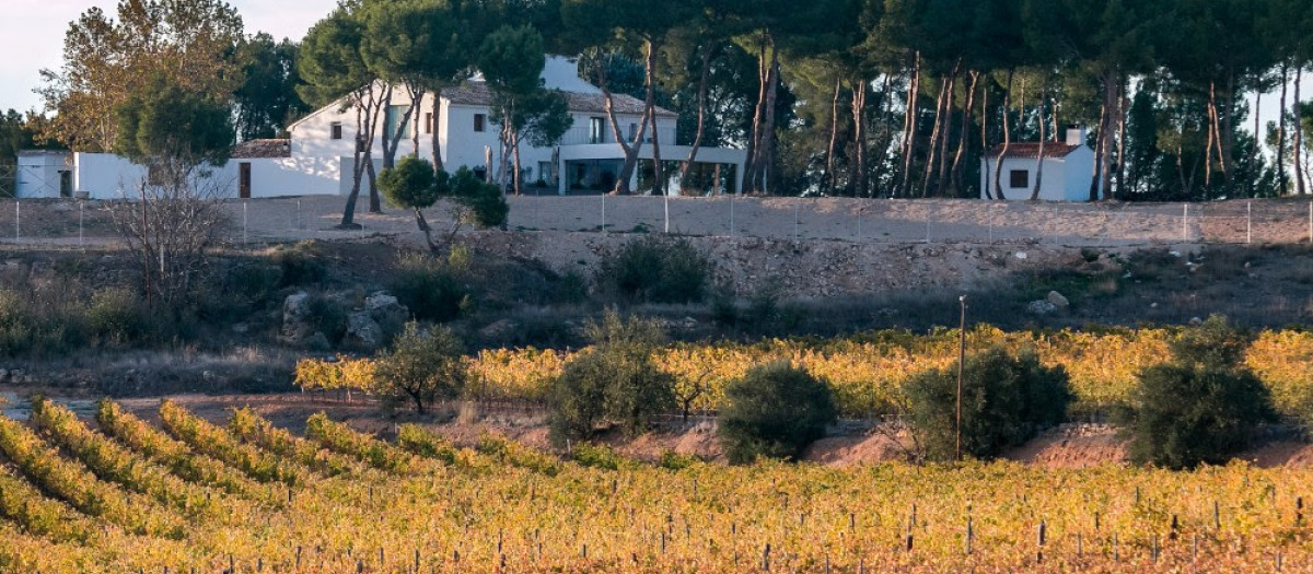 Imagen de la finca LoAlto, en Utiel-Requena