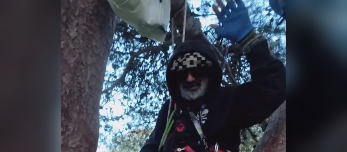 Mapuche en el árbol