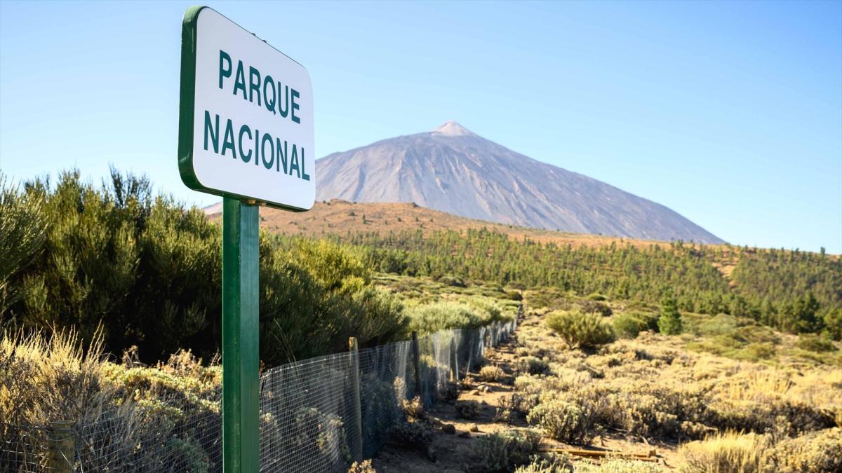Así se prepara España para una futura erupción volcánica: el BOE publica nuevas alertas y planes de evacuación