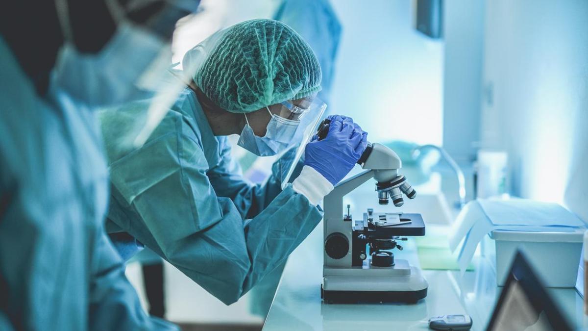 Del «Make Science Great Again» al colapso: la burocracia asfixia los laboratorios y hunde la investigación