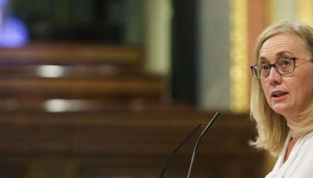 La diputada del PP María Teresa Angulo