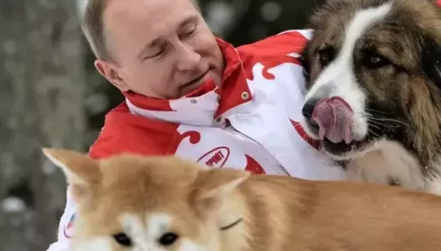 Putin jugando con unos perros callejeros