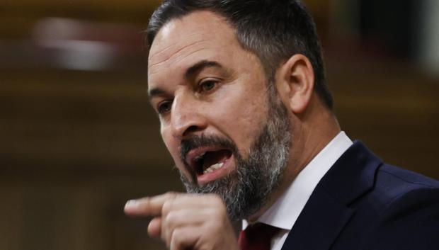 Santiago Abascal durante su intervención