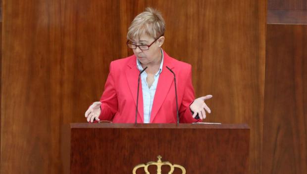 Carmen López, la diputada del PSOE-M, en un pleno de la Asamblea